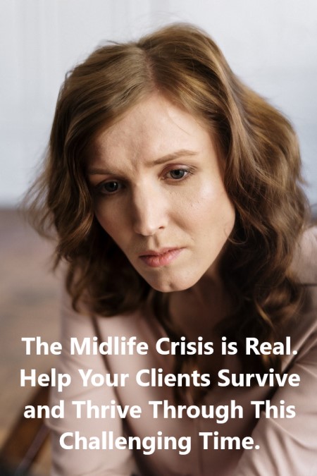 Midlife Crisis PLR Ebook in Canva