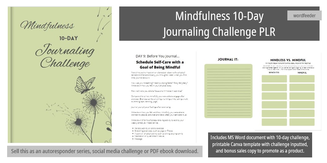 10-Day Mindfulness Journaling Challenge PLR with MS Word doc + Canva Template