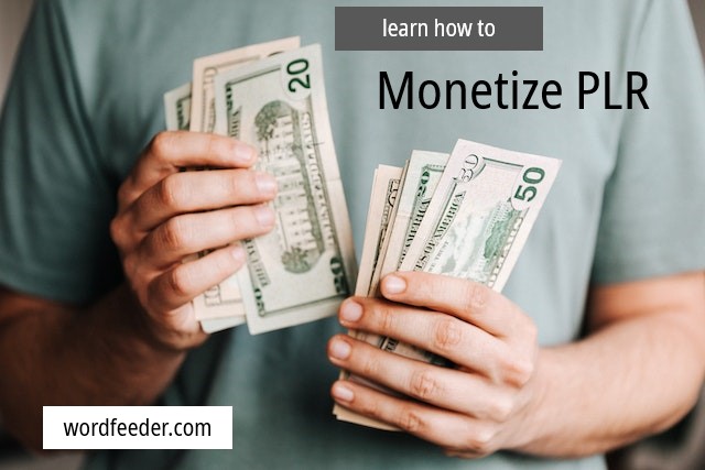 monetize plr