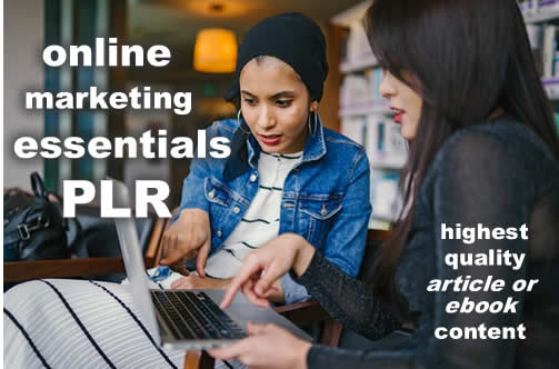 Online Marketing Essentials15 PLR Articles