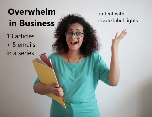 overwhelm in business plr articles and email series