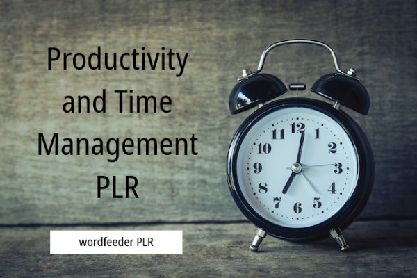 Productivity and Time Management PLR 