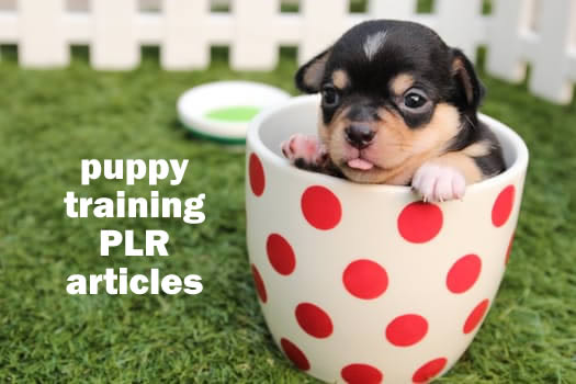 Puppy Potty Training Articles - PLR Rights