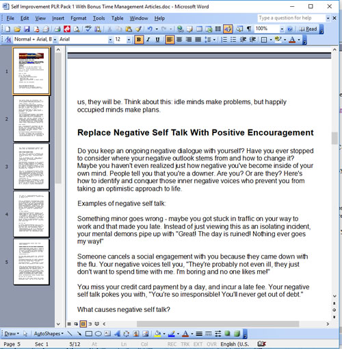 Self Improvement PLR Articles Writing Sample