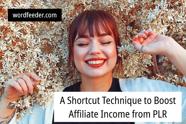 --->A Content Shortcut to Boost Affiliate Income from PLR