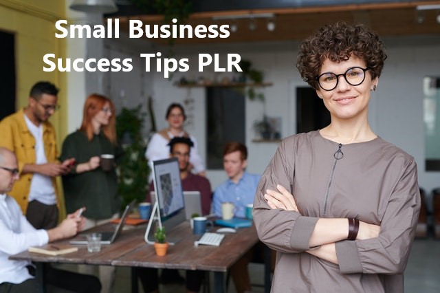 Small Business Success Tips PLR Articles