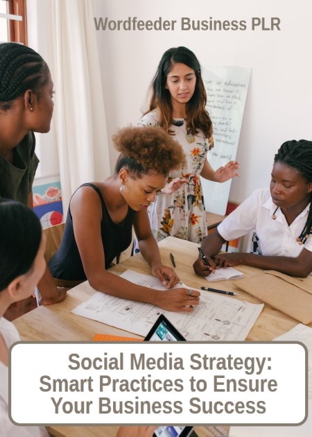 Social Media Strategy: Smart Practices to Ensure Your Business Success PLR Content