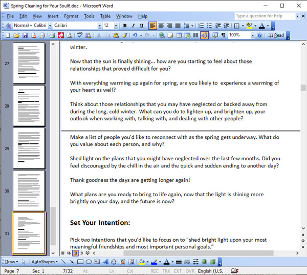 "Spring Cleaning for Your Soul" 15-Day Journaling Challenge PLR Writing Sample Screen Shot