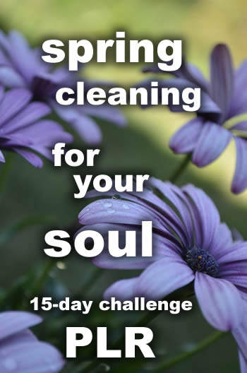 Spring Cleaning for Your Soul Journaling Challenge PLR