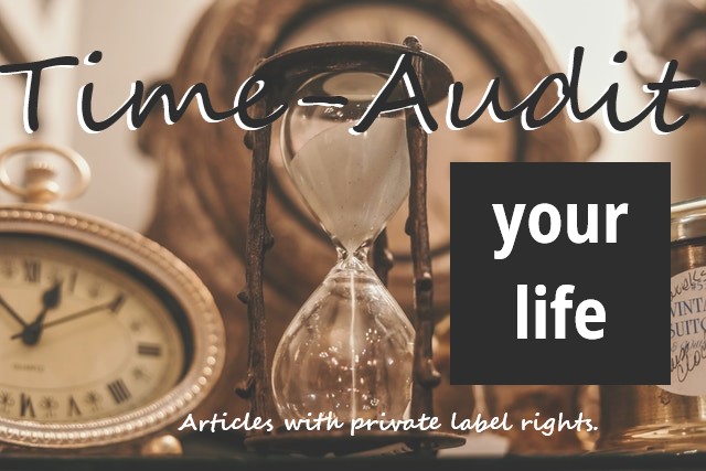 Time-Audit Your Life PLR