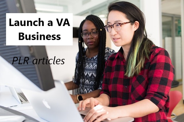 Launch a VA Business PLR Articles 