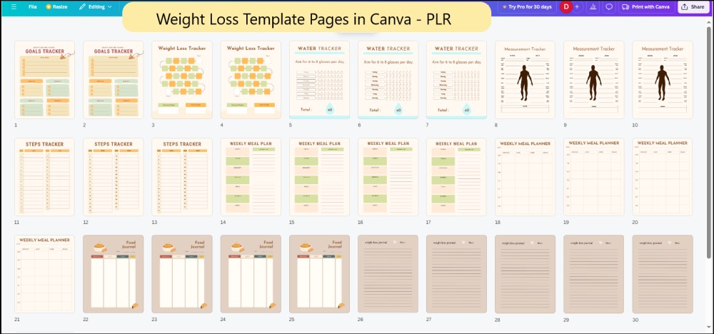 weight loss canva templates