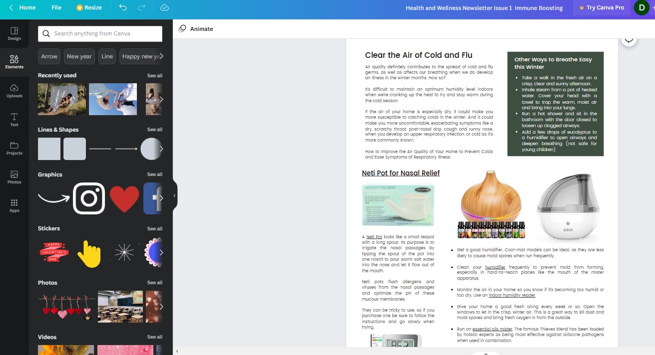 done for you newsletter Canva screen shot