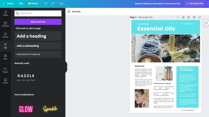 done-for-you wellness newsletters Canva template 3 essential oils