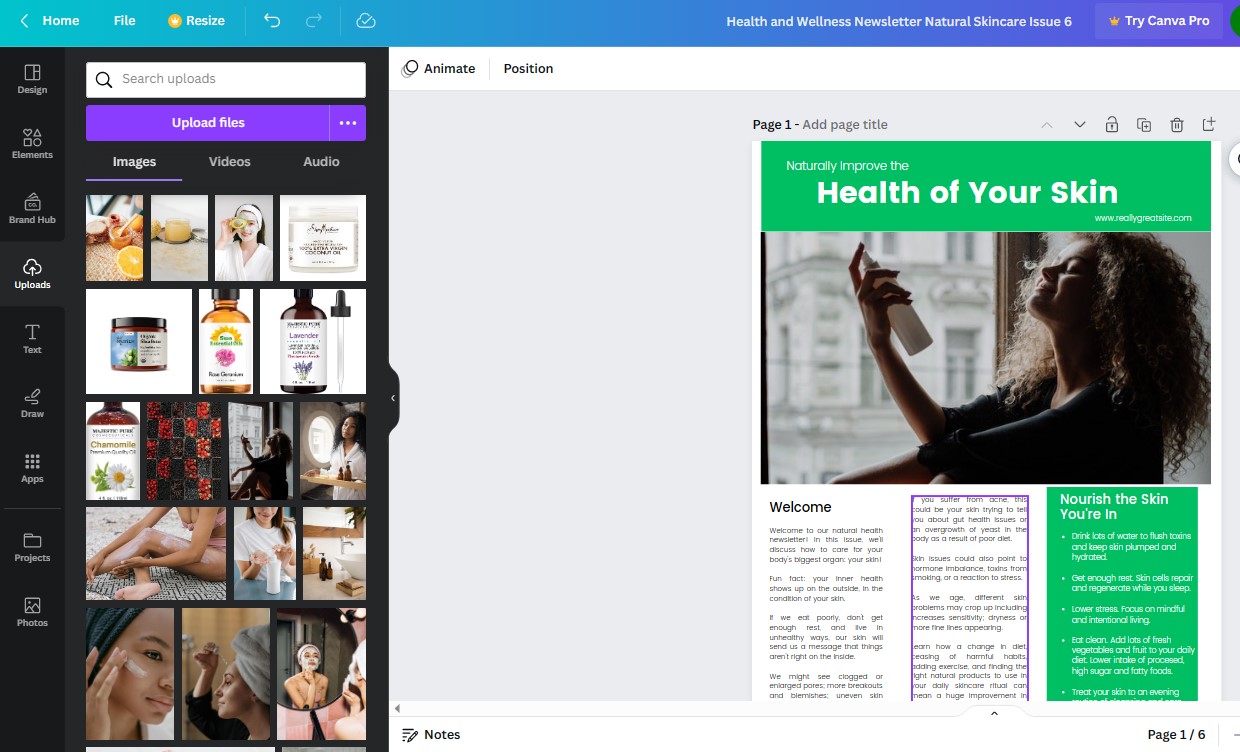 done-for-you wellness newsletters Canva template 6 health of your skin