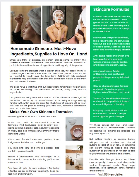 done-for-you wellness newsletters Canva template article sample 2 homemade skincare