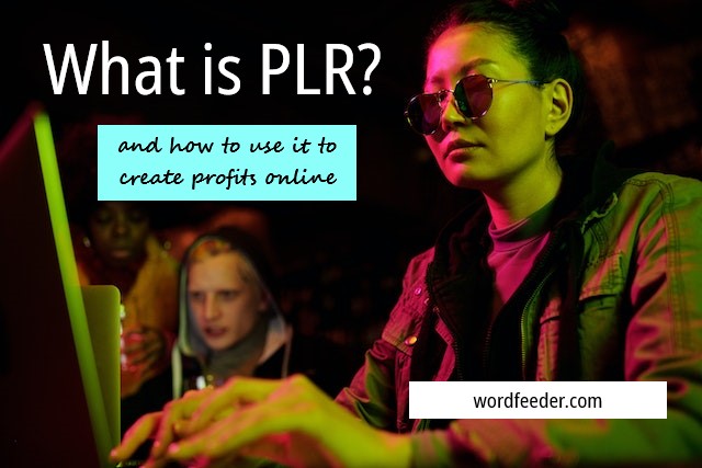 What is PLR? How to Use it in Your Business