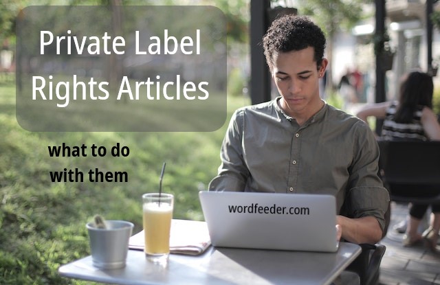 What to Do with Private Label Rights Articles