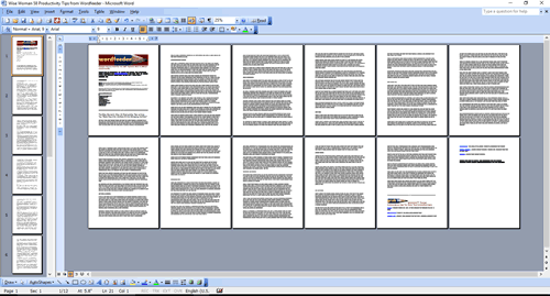 Wise Woman's Way 58 Productivity Tips PLR Screen Shot of the Document Layout