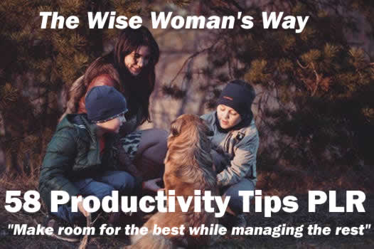 Wise Woman's Way 58 Productivity Tips PLR