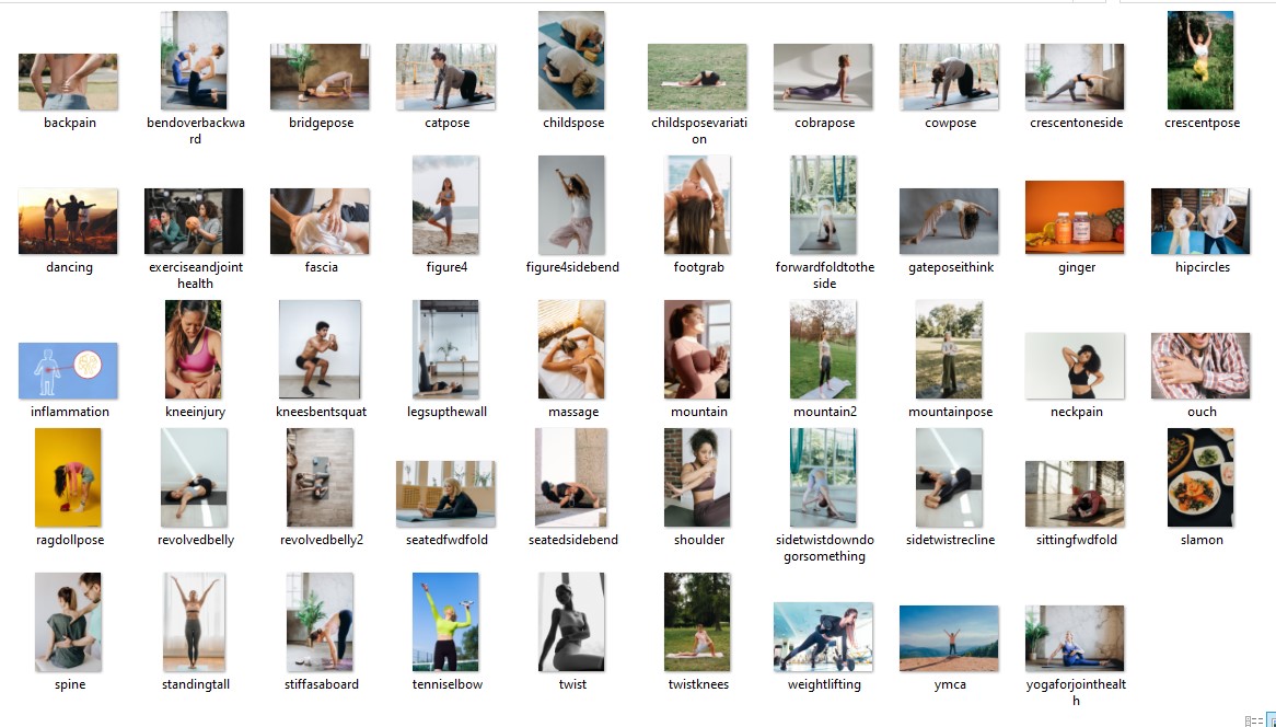 Yoga for Joint Health PLR Content Bonus Images Screen Shot