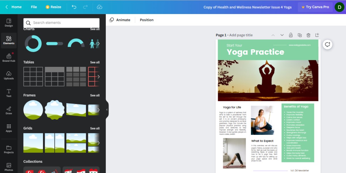 done-for-you wellness newsletters Canva template 4 yoga for beginners