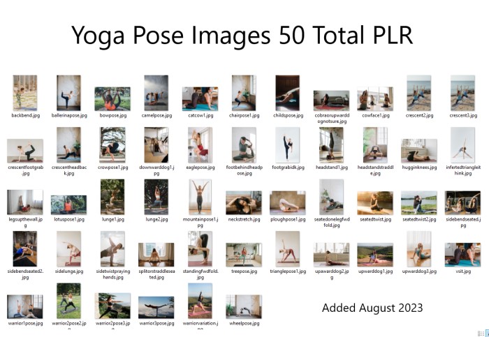 Yoga in the Moment PLR: Images